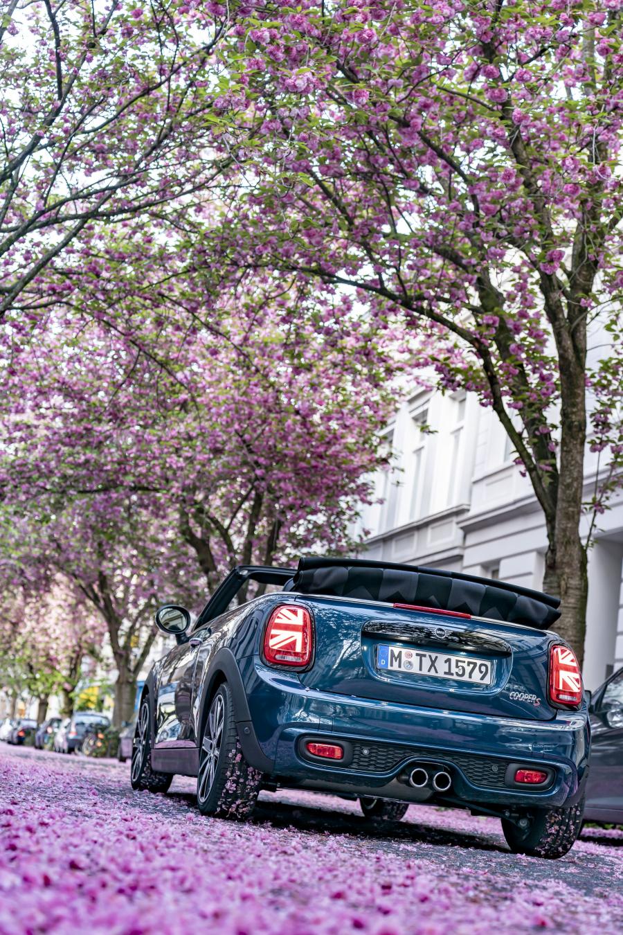  Mini Cooper S Cabrio Sidewalk (F57) 2020 года  (WW) (фото 41 из 53)